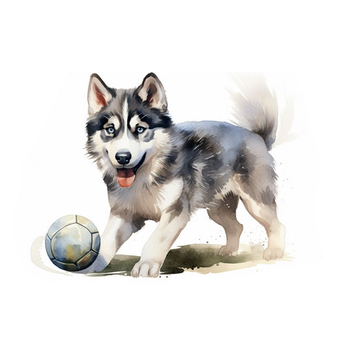 Magnet Husky mit Ball