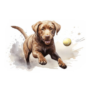 Magnet Labrador mit Ball
