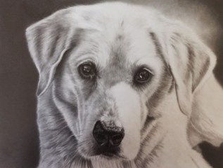 Bleistiftzeichnung Seppi