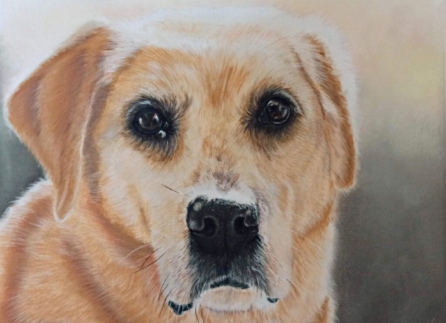 Pastellzeichnung Seppi